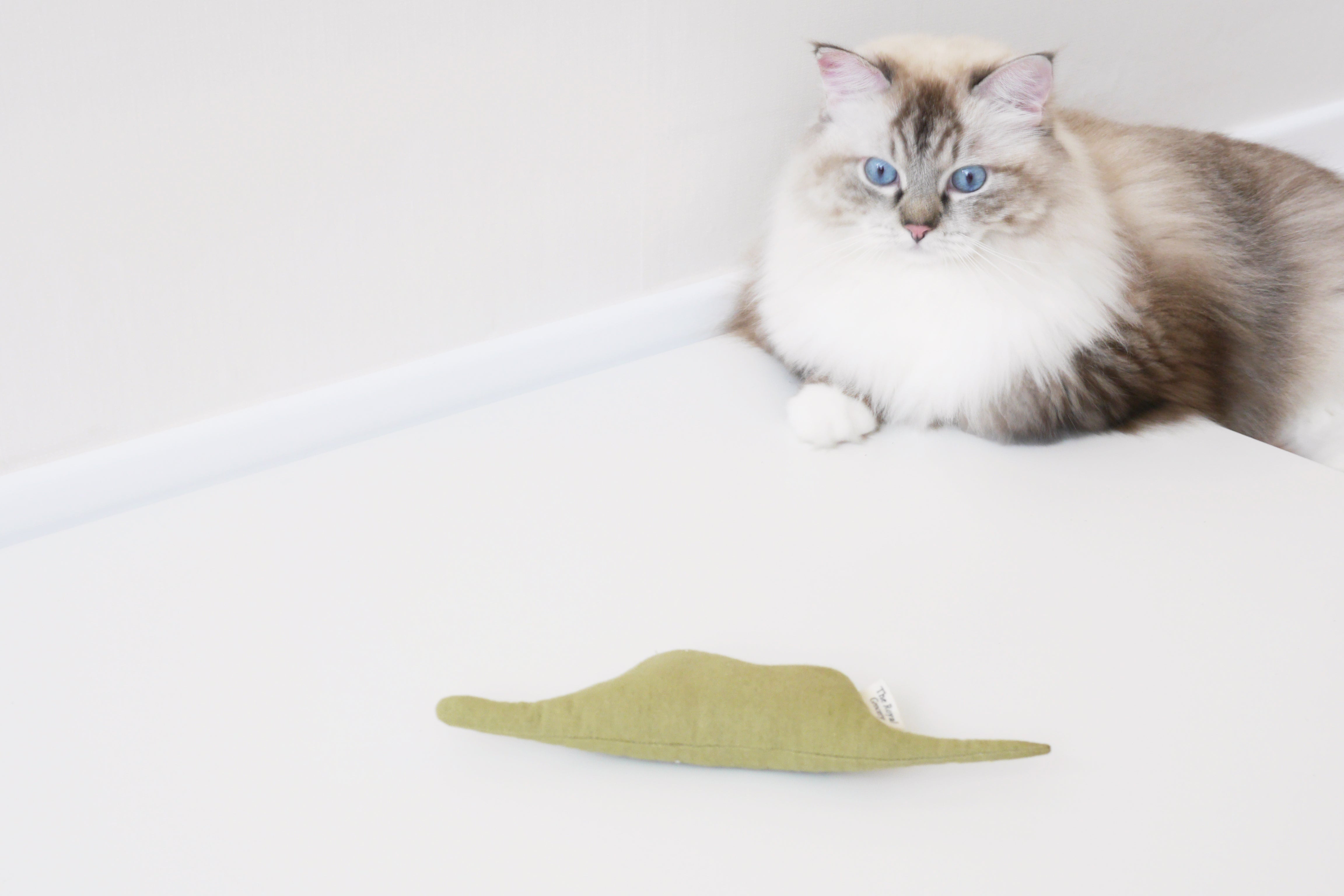 Boa Snake  catnip cat toy