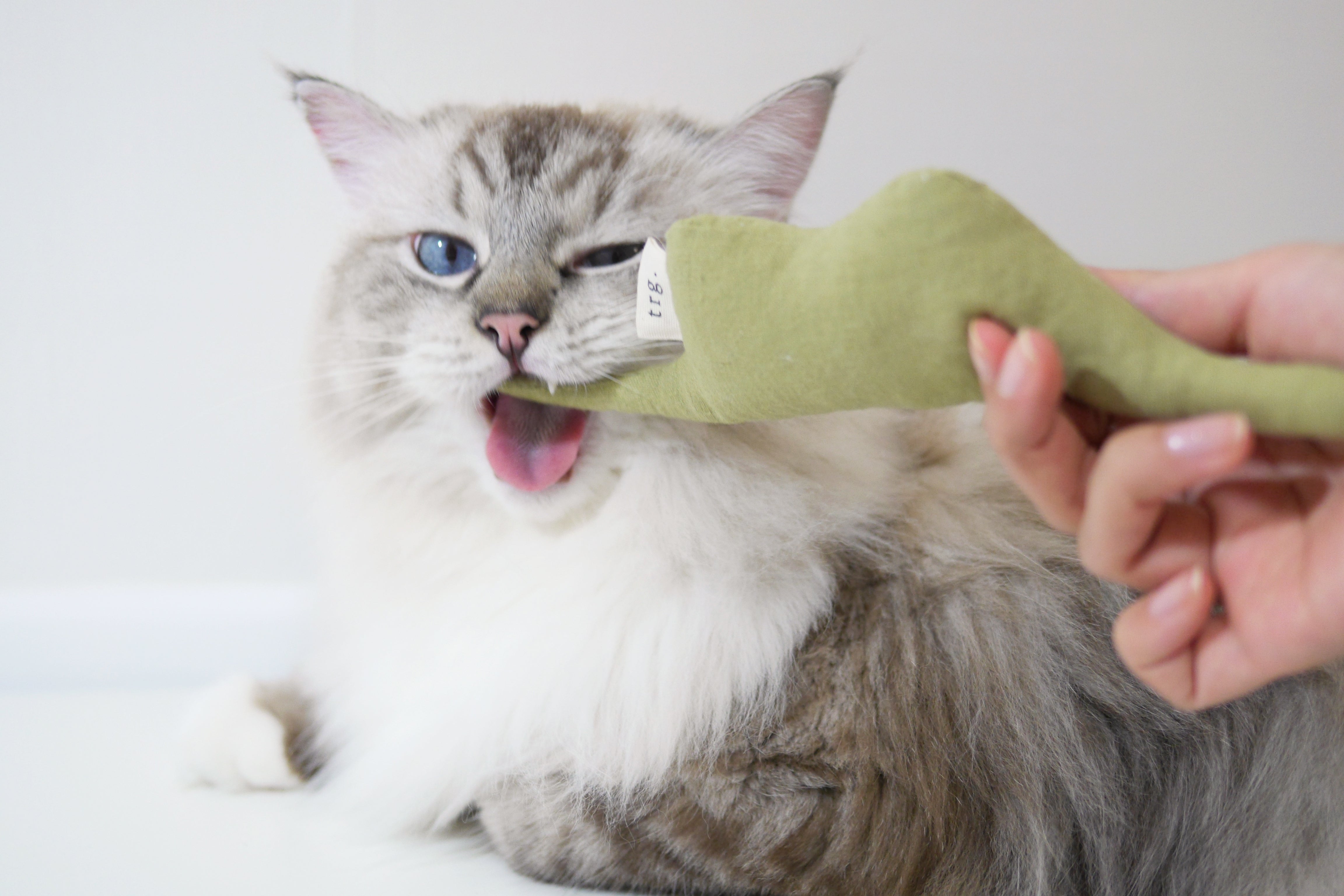 Boa Snake  catnip cat toy