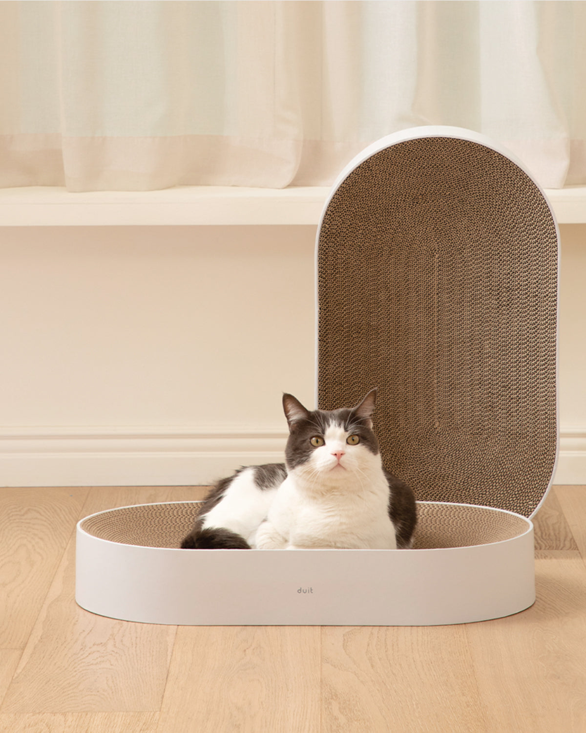 All Day Cat Scratcher . Brown