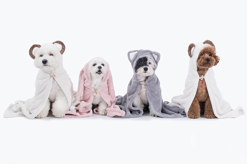 Animal hood towel . cat