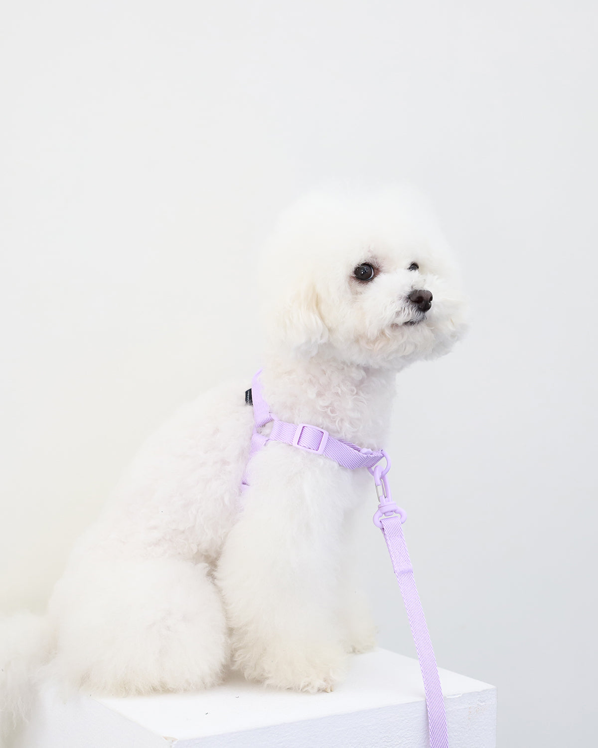 Macaron Comfort Harness . Lavender