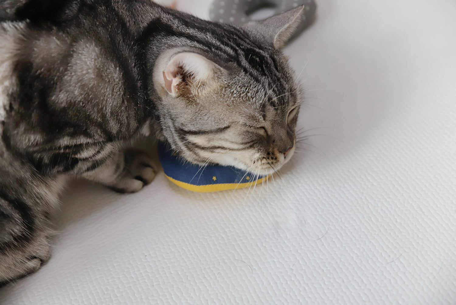 CatNut Toys