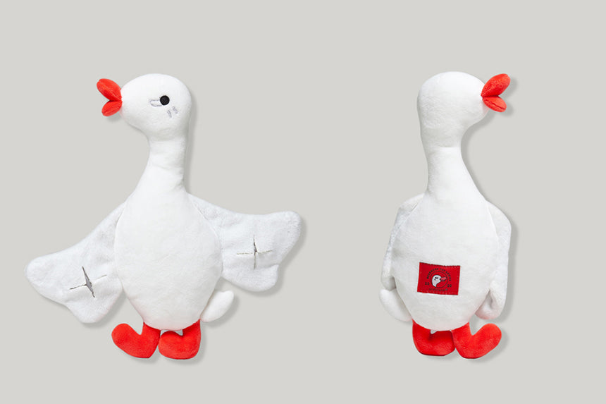 Flying Duck Nosework Toy