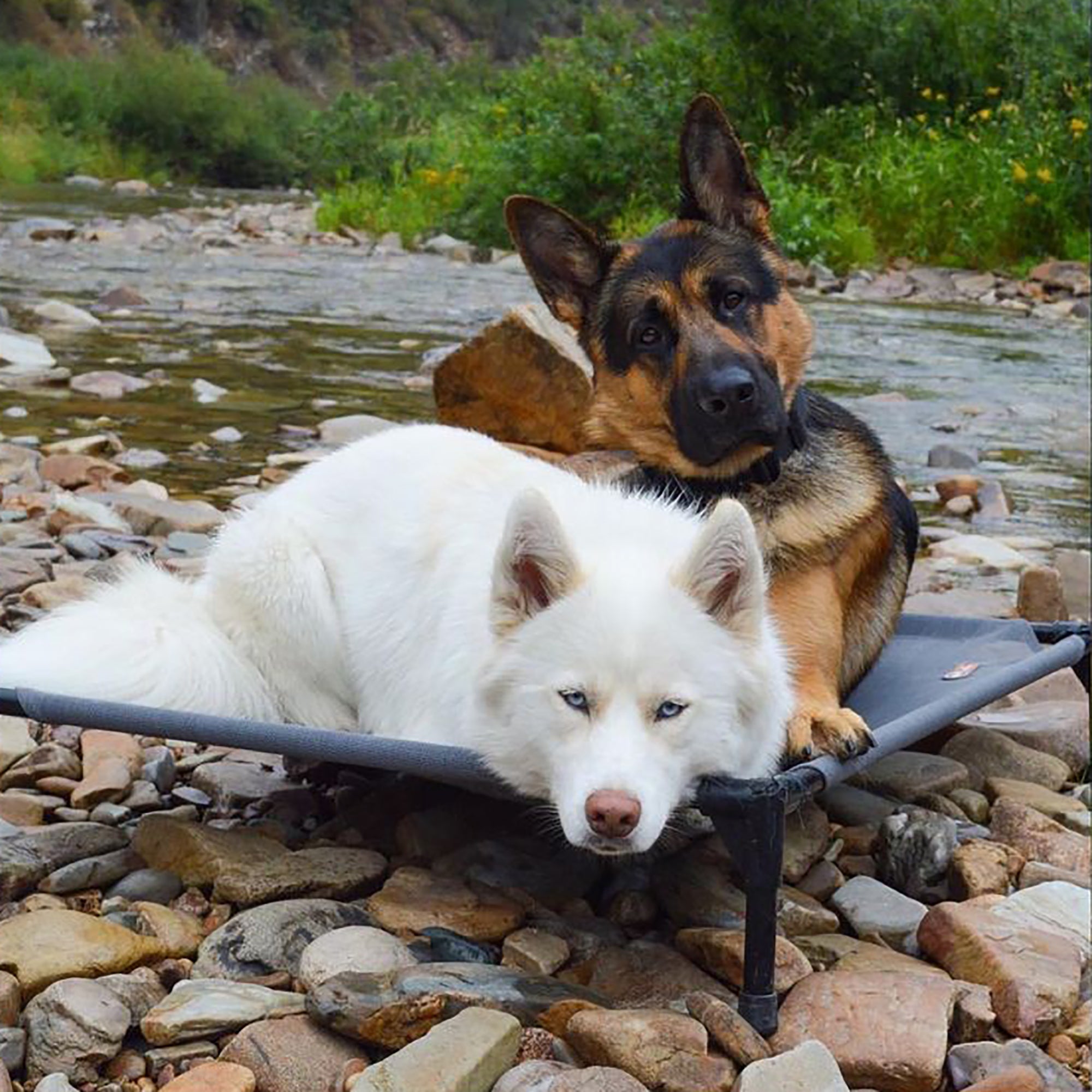 K&H All Season All Weather Dog Cot